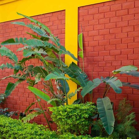 Mvt Guesthouse & Restaurant Rishikesh Luaran gambar