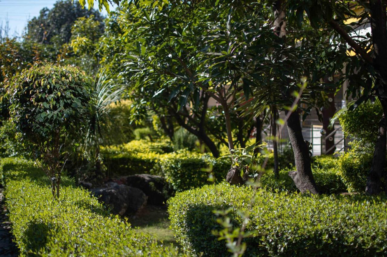 Mvt Guesthouse & Restaurant Rishikesh Luaran gambar